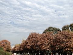 -南京市江宁方山