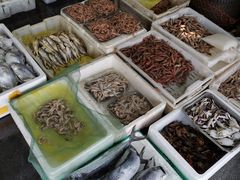 -芦潮港集贸市场