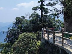 -紫鹊界梯田景区