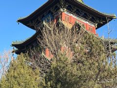 -迎泽公园