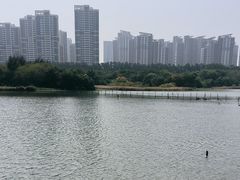 -五缘湾湿地公园