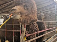 -南宫五洲植物乐园