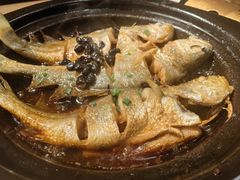 -邹开喜·炭炉鸡煲·海鲜火锅(虹口足球场店)