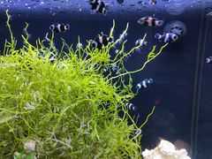 -沈阳海洋探索中心