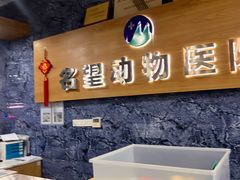-瑞派名望志远动物医院·猫科·內科·异宠专科(直港大道店)