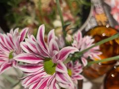 -半秋山西餐厅(巴南万达广场店)