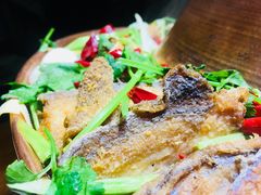 -下杨家青海土火锅(海湖店)