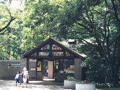 -井之头恩赐公园