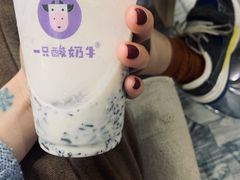 -一只酸奶牛(时代天街A馆店)