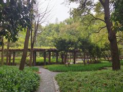 -徐家汇源景区-衡山公园