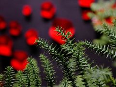 -和枫(众意路店)