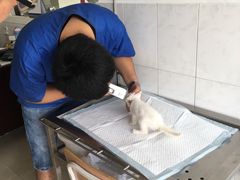 -畜牧兽医站(共江路店)