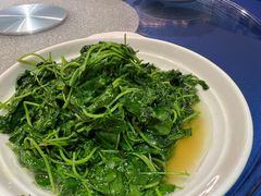 酒香草头-建国328 本帮小馆·面馆