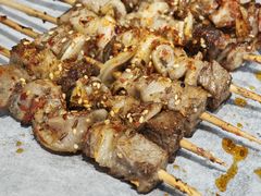 -红岸碳烤齐齐哈尔原味生态烤肉