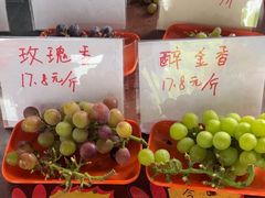 -马陆小张葡萄园农家乐