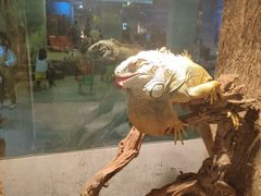 -锦艺城海洋馆