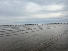 -南汇新城海滩