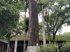 -南海神庙