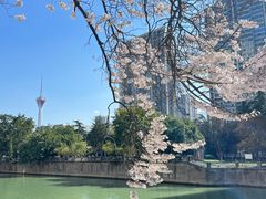 -成都市活水公园