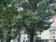 -圣·阿列克谢耶夫教堂