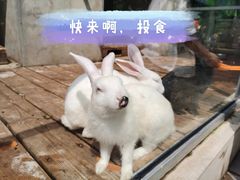 -北京鹿世界主题园