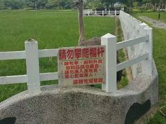 -瑞穗牧场