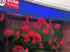 -雅悦齿科(顾村公园店)