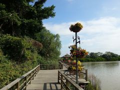 -大湾区中央湿地公园