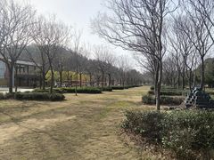 -黄陂区野村谷景区