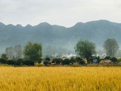 -黟县屏山村