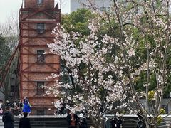-HUATA 'Holiday Plan 花榻