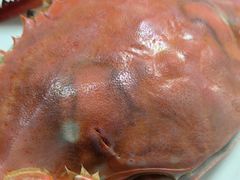 -百富源·海鲜辽菜(浑河堡店)