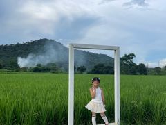 -艾米稻香小镇