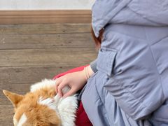 -肥朵食堂(带梦胡同店)