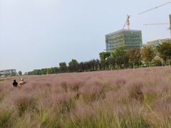 -映月湖中央公园