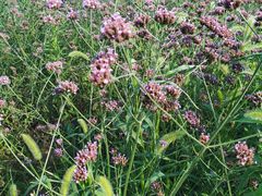 -雪浪山卡丁车俱乐部