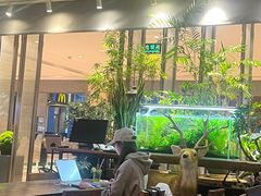 -大书房咖啡(中传国交店)