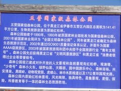 DSC06441-五营红松林海景区