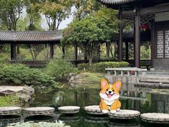 -武汉园博园(武汉自然博物馆)