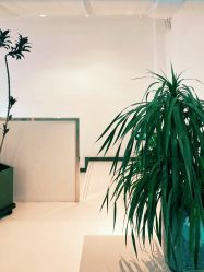 -I+造型烫发染发