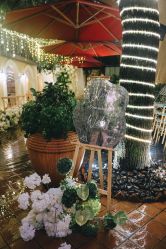 -迈瑞米求婚策划(静安店)