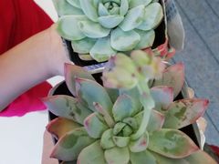 -南宁时代电影大世界(CGS激光中国巨幕)