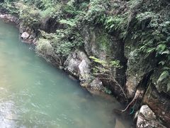 -广州市石门国家森林公园