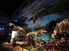 -自贡恐龙博物馆