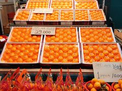 -西归浦每天偶来市场