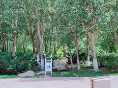 -长白岛森林公园