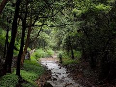 -五泄景区