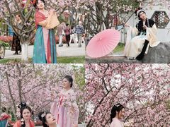 -武汉园博园(武汉自然博物馆)