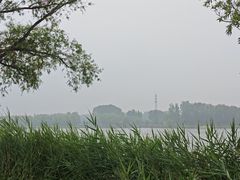 -野鸭湖国家湿地公园