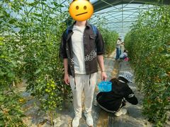-菊园百果园